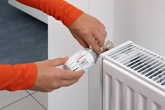 Das alte Thermostat wird entfernt.